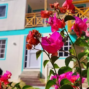 Colorful Garden House , Providencia (Narino) Kolumbien